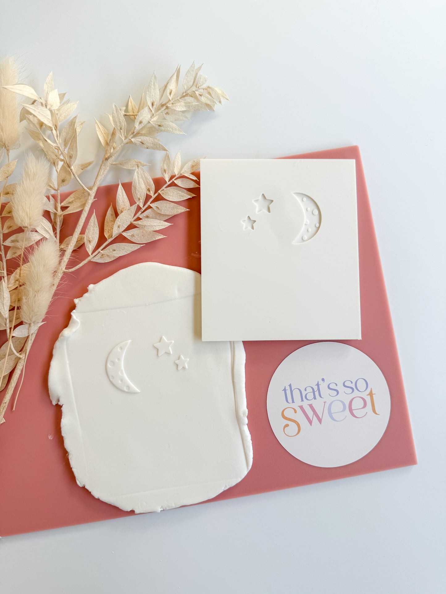 Moon and Star Cookie Stamp