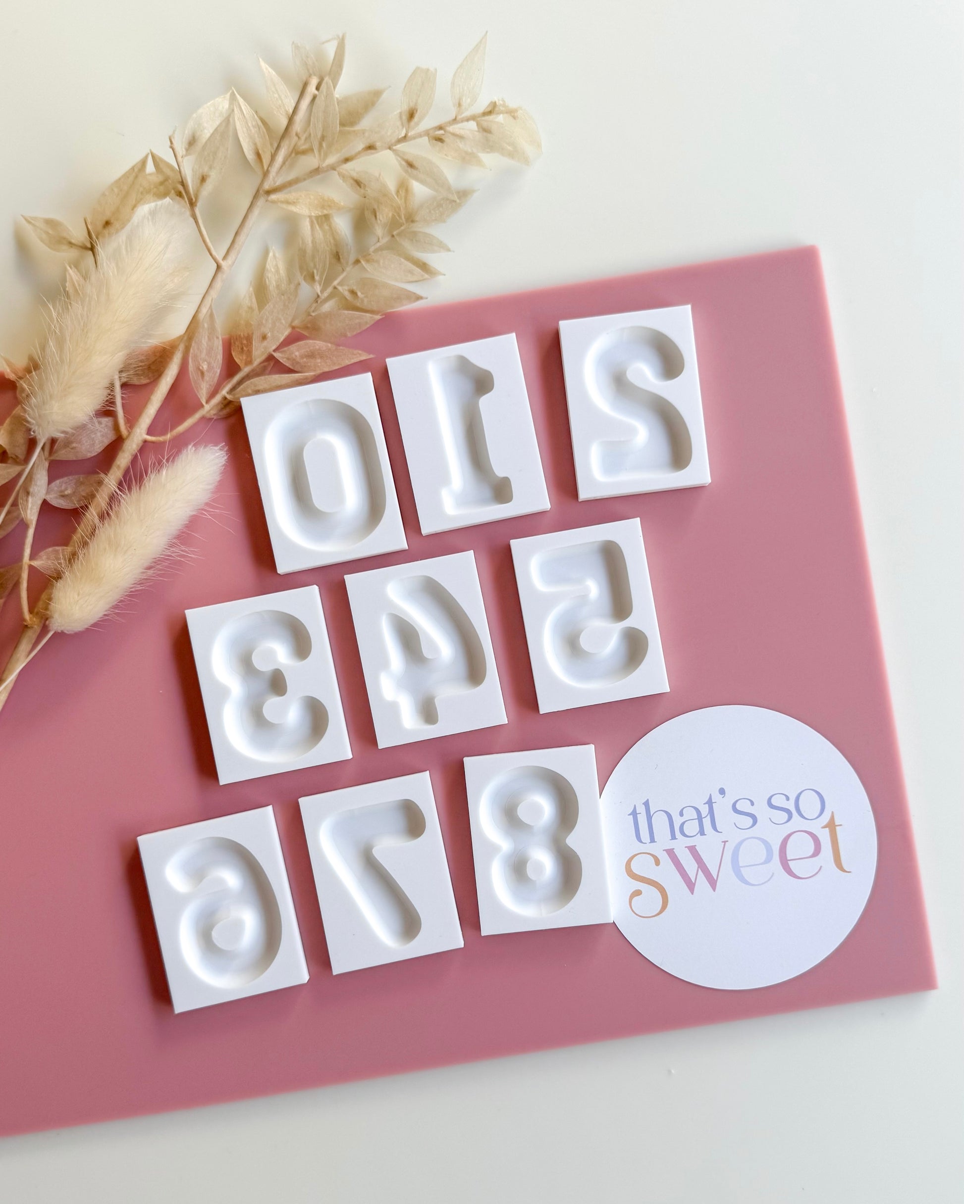 Balloon Numbers Plates 0-8 