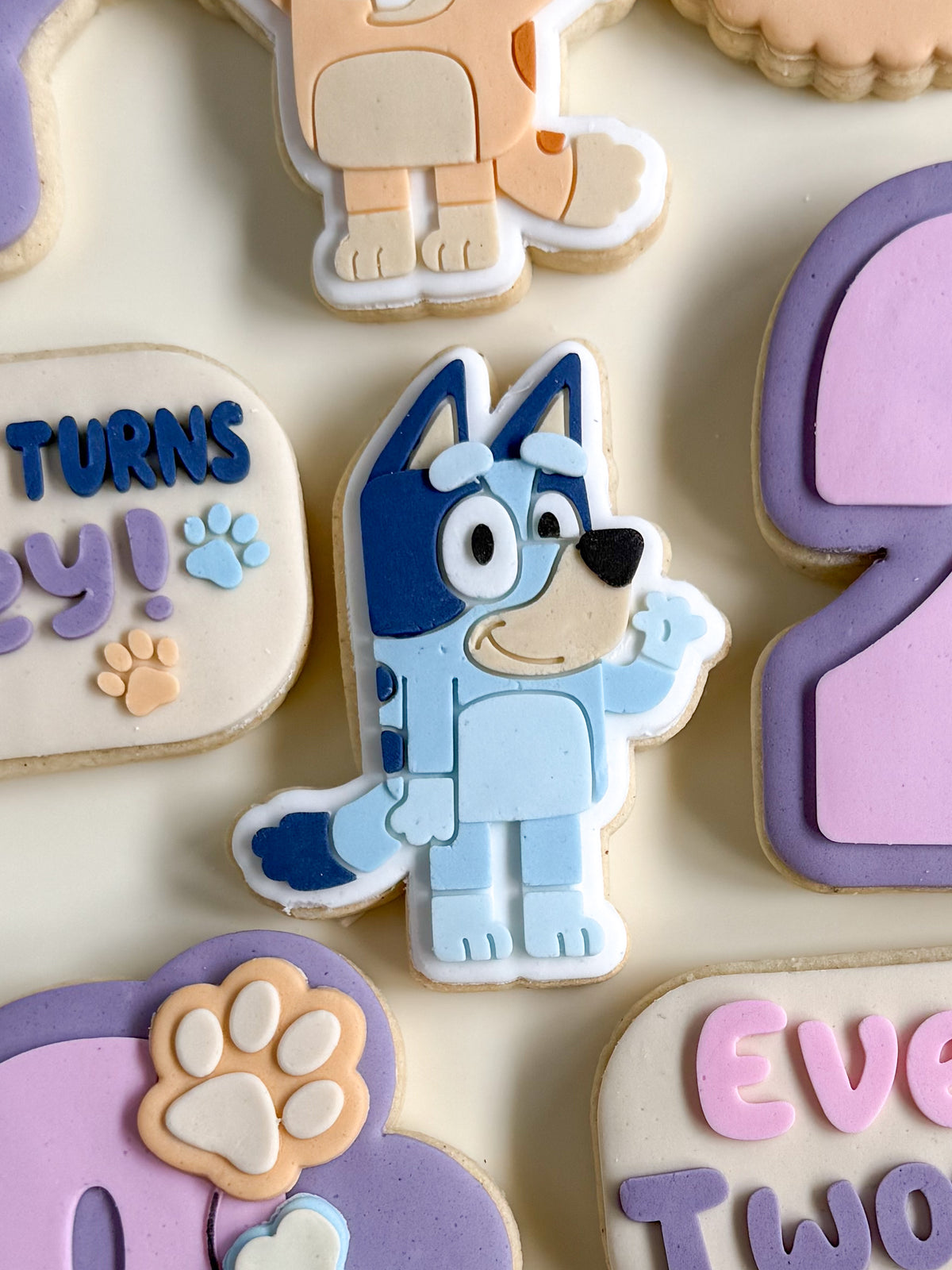 Bluey Cookie