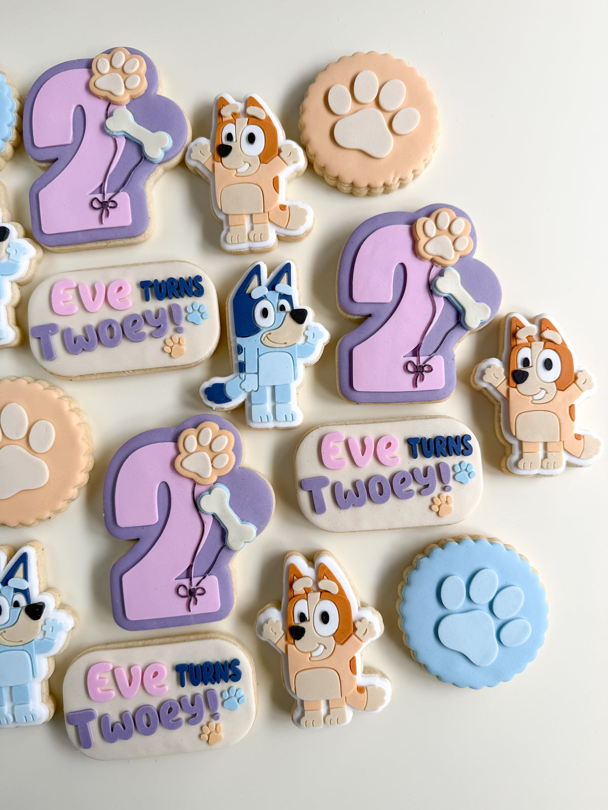 Bluey and Bingo Cookie Set