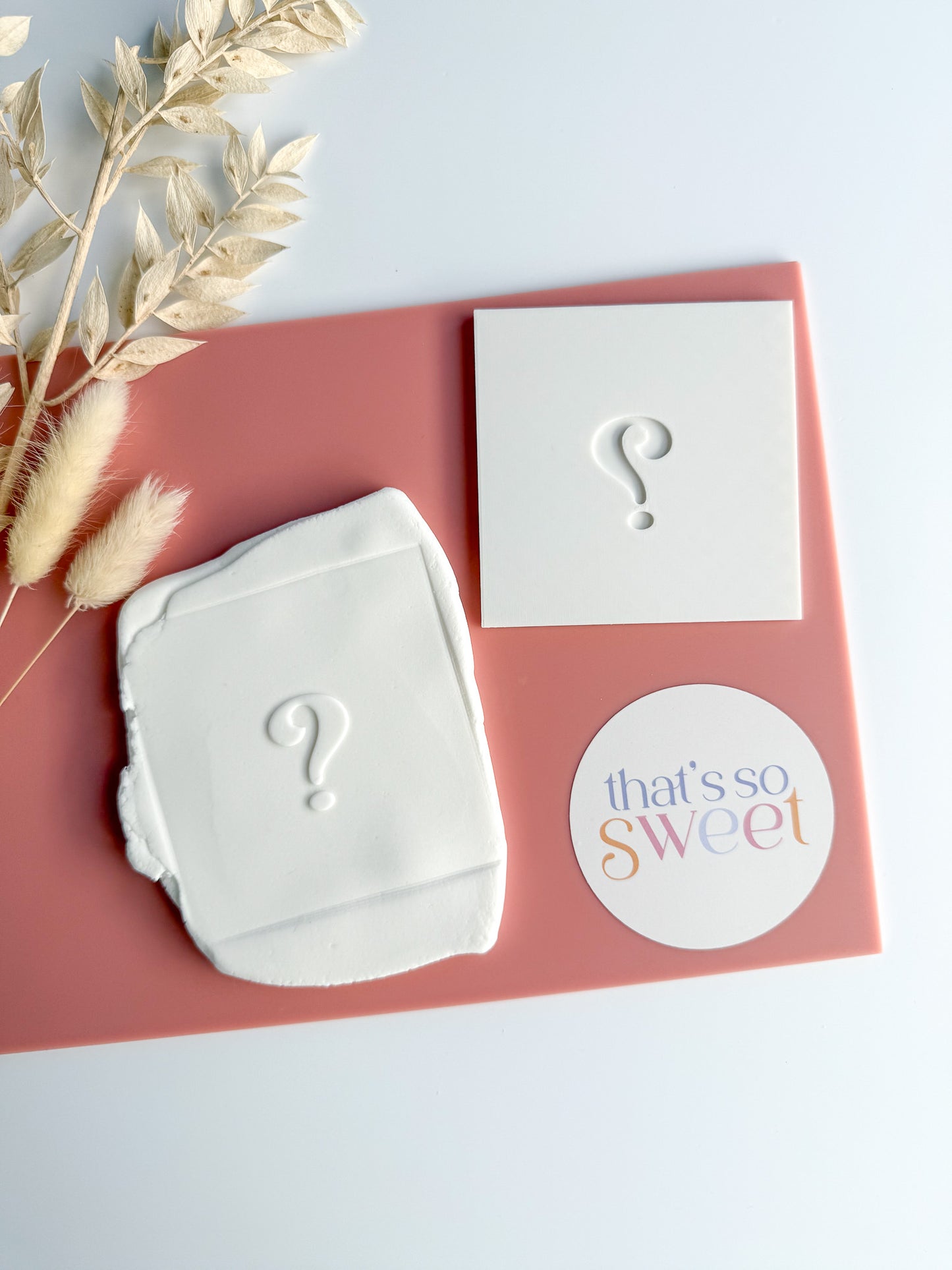 Question Mark Plate Cookie Stamp