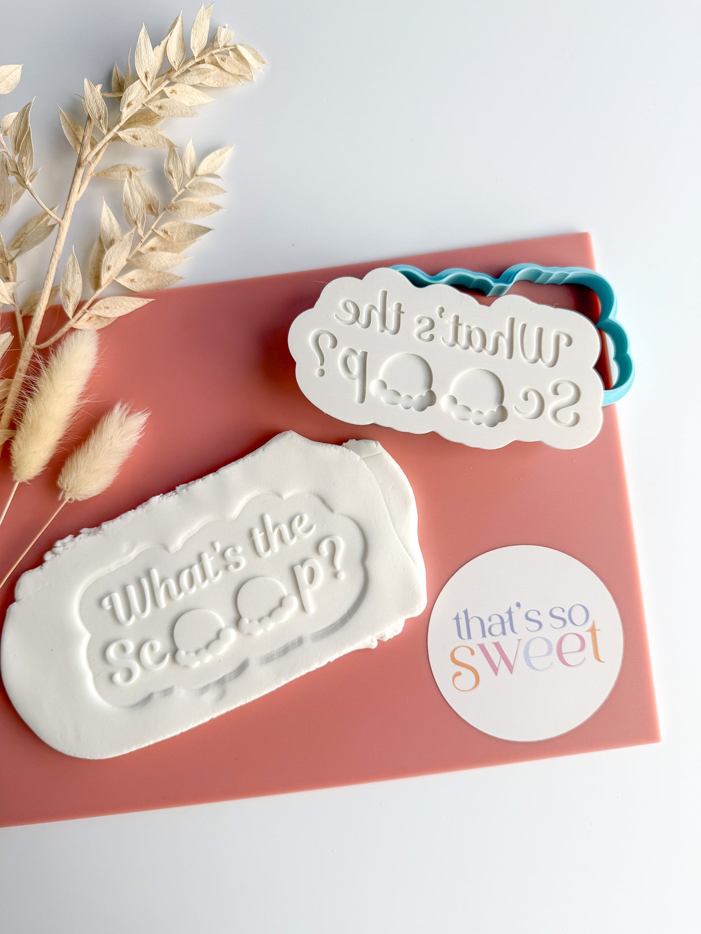 Whats the Scoop Cookie Stamp and Cutter